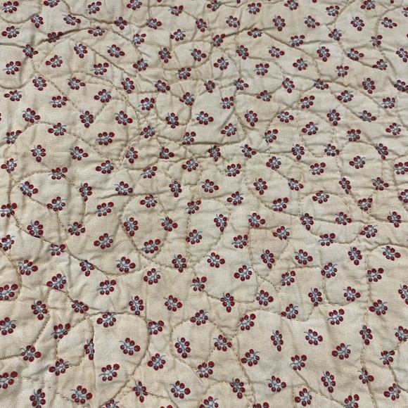 🍉 Watermelon Picnic Log Cabin Quilt - Picture 6 of 11